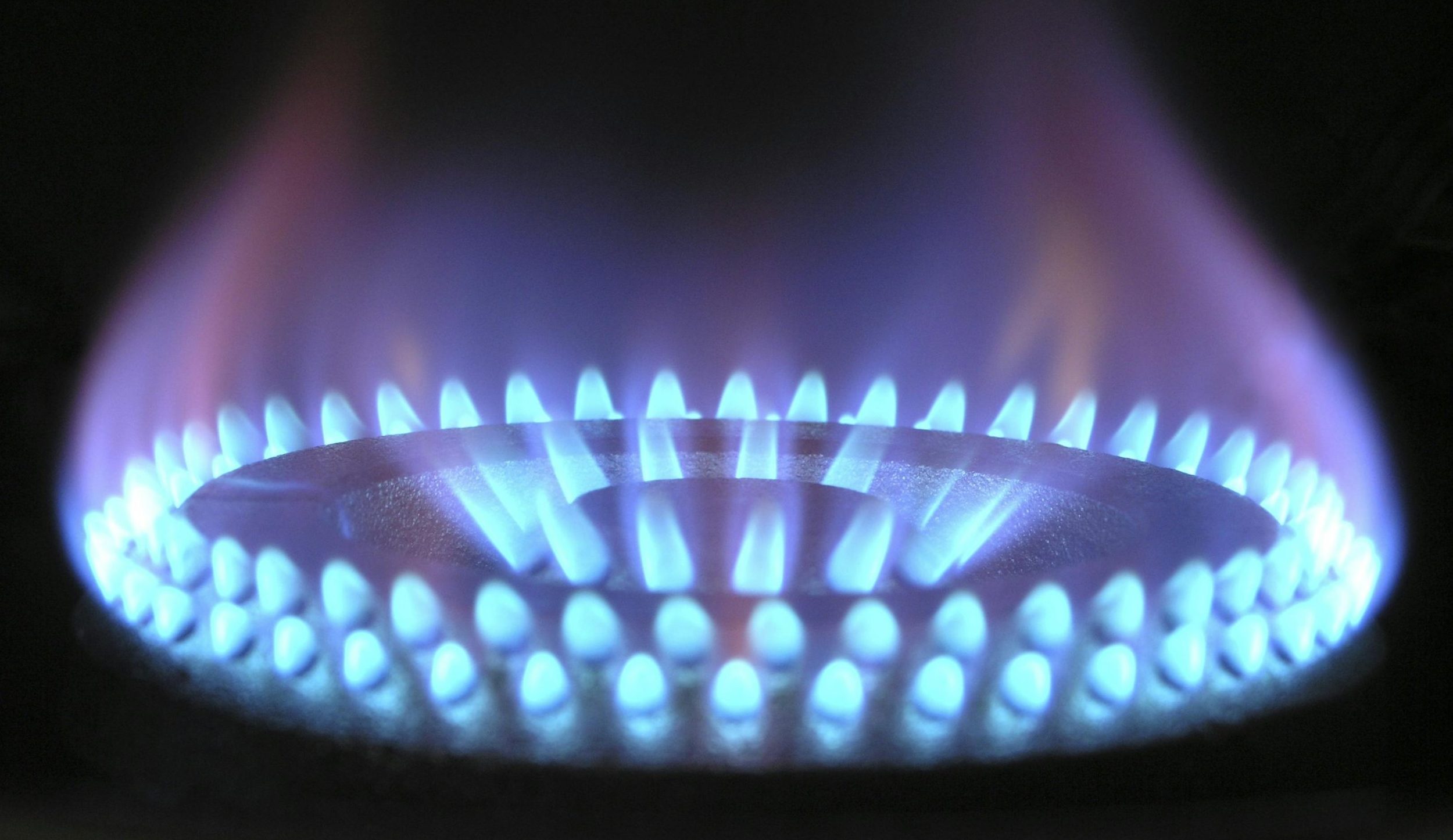 A detailed view of a blue flame on a gas stove, illustrating heat and warmth.